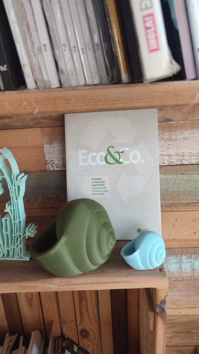Natica Spiral Seashell Vase, 3D Printed Planter for Flowers