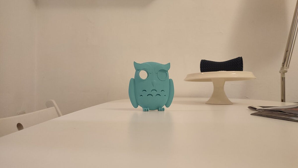 Owl Peephole Cover, 3D Printed Front Door Decor