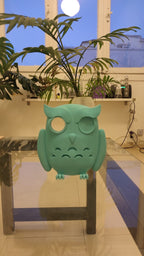 Owl Peephole Cover, 3D Printed Front Door Decor