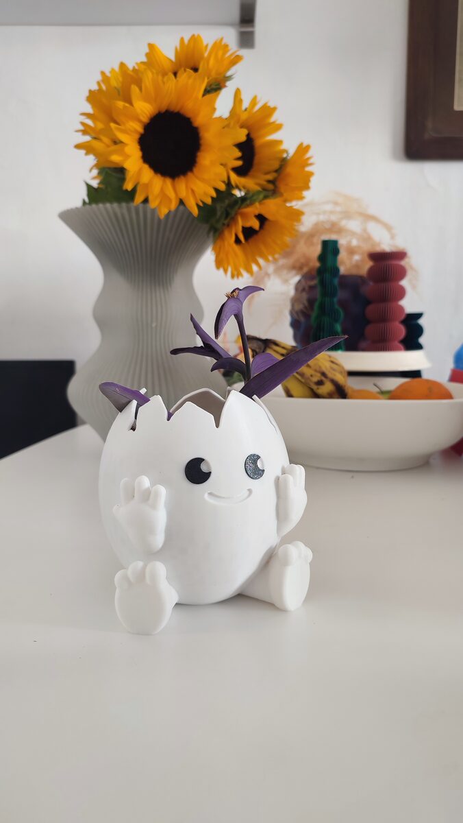 Cute Egg Planter