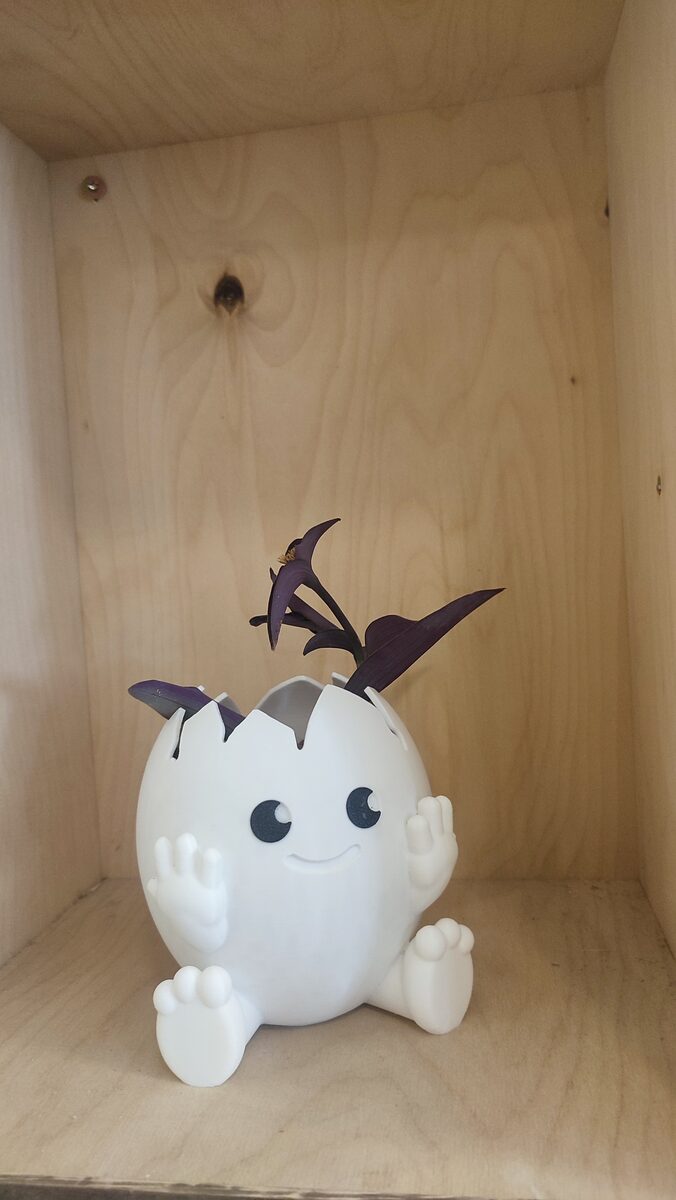 Cute Egg Planter
