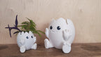 Cute Egg Planter - OzFDM