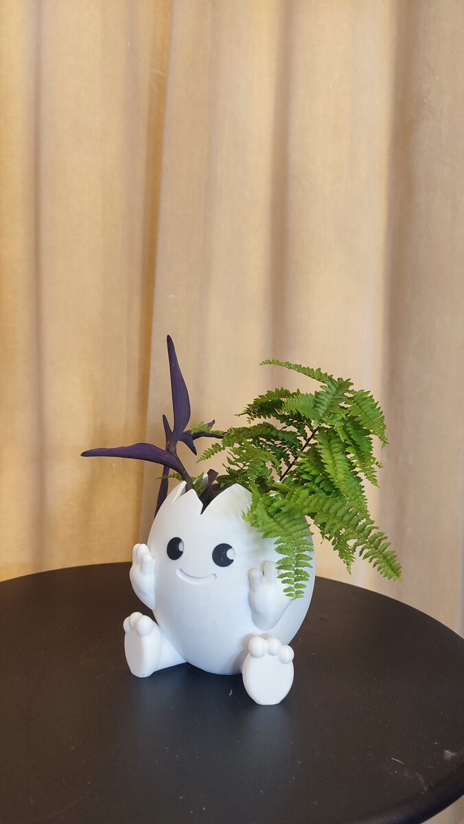Cute Egg Planter