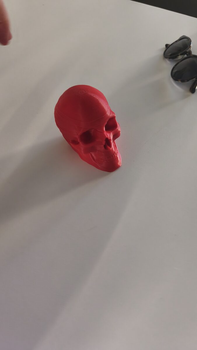 Skull Coasters