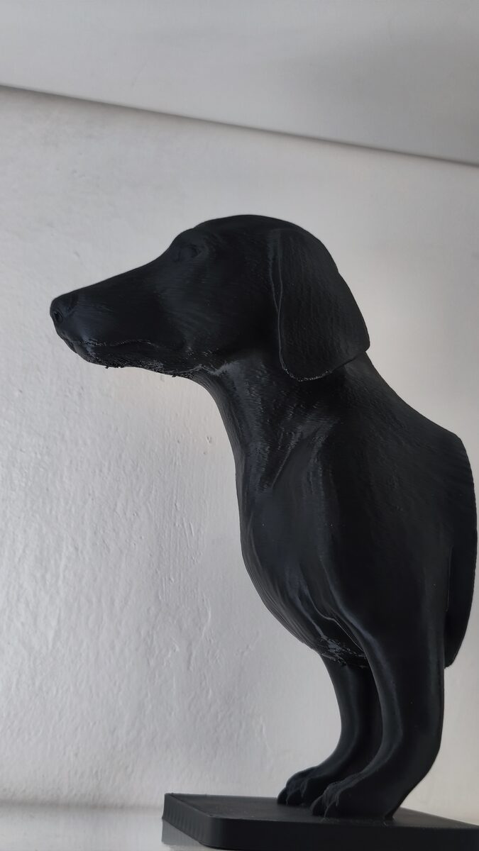 Dog Book Holder