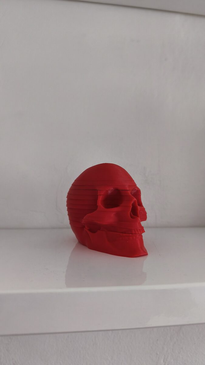 Skull Coasters