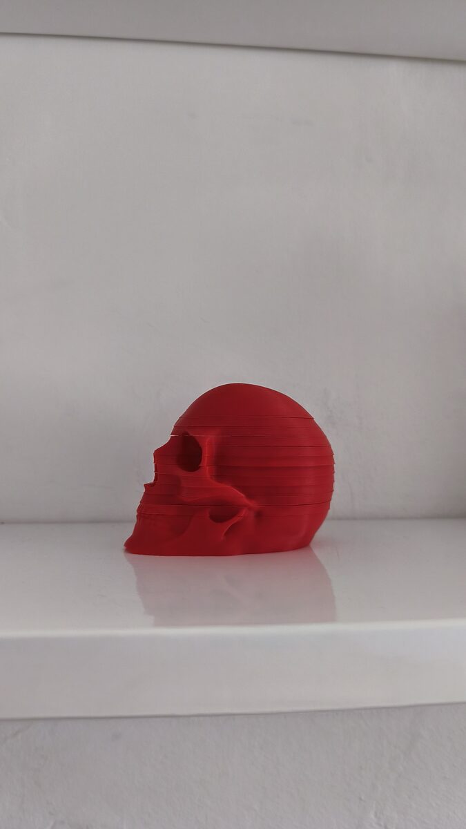 Skull Coasters