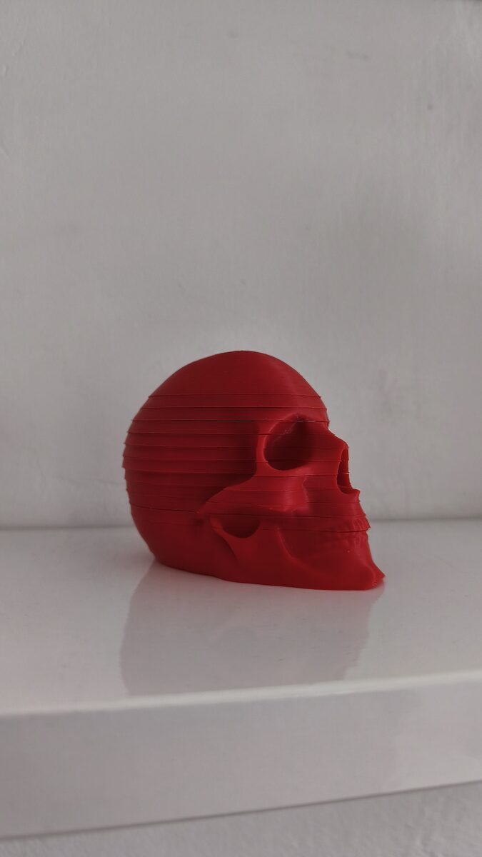Skull Coasters