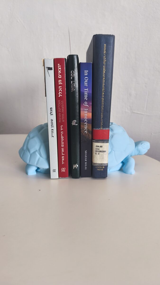 Turtle Bookend