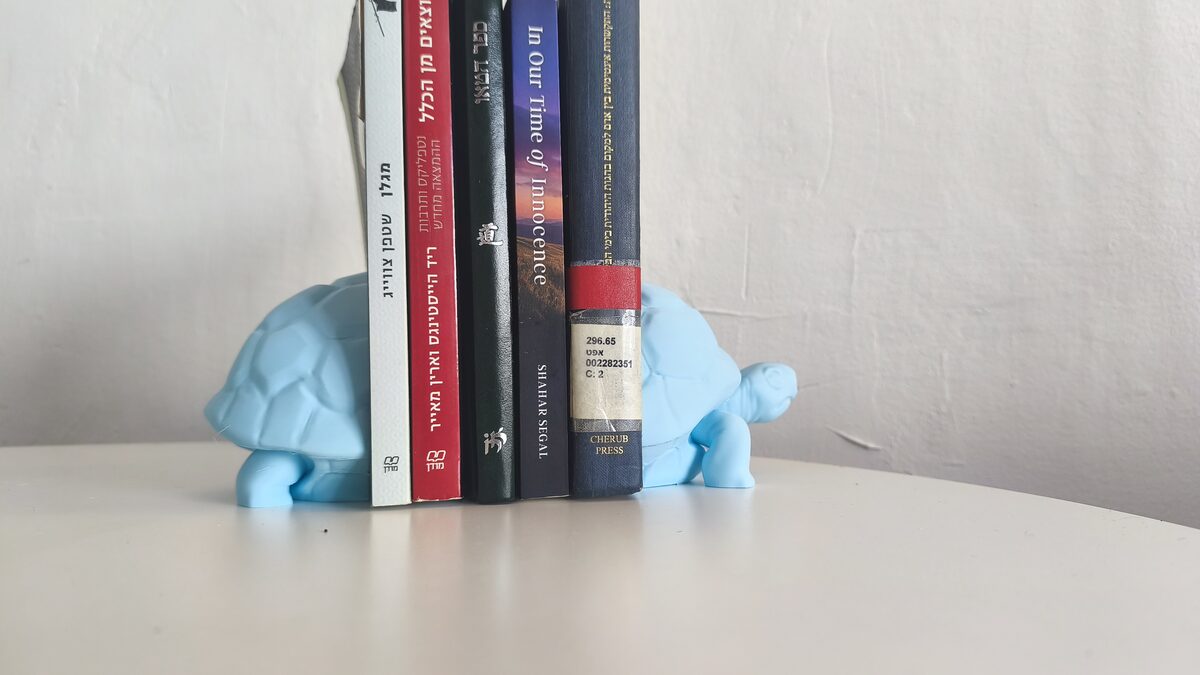 Turtle Bookend