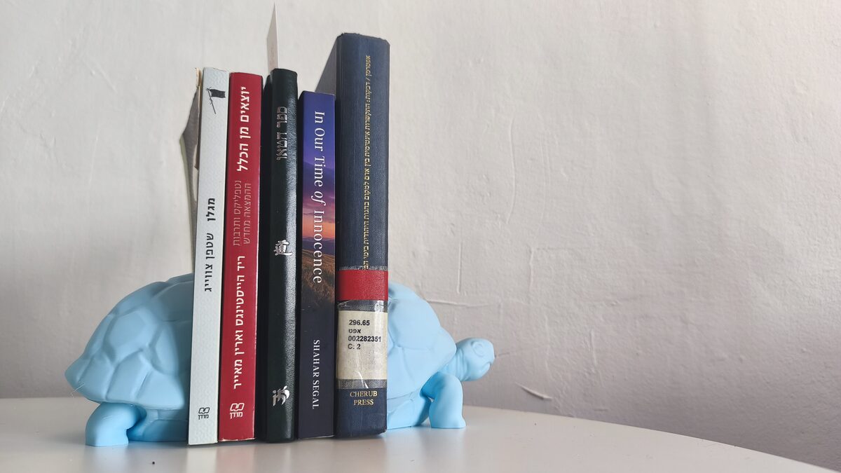 Turtle Bookend
