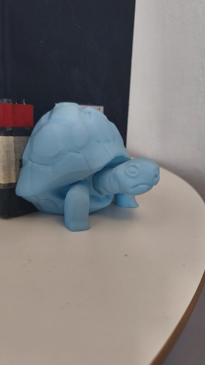 Turtle Bookend
