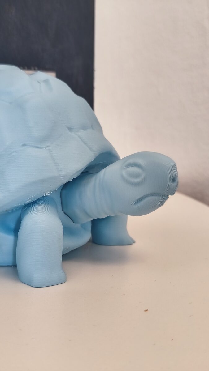 Turtle Bookend