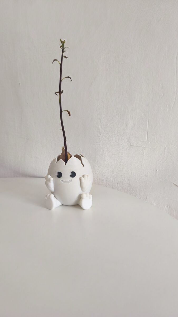 Avacado Egg Planter