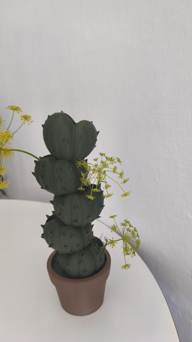 Cactus Vase