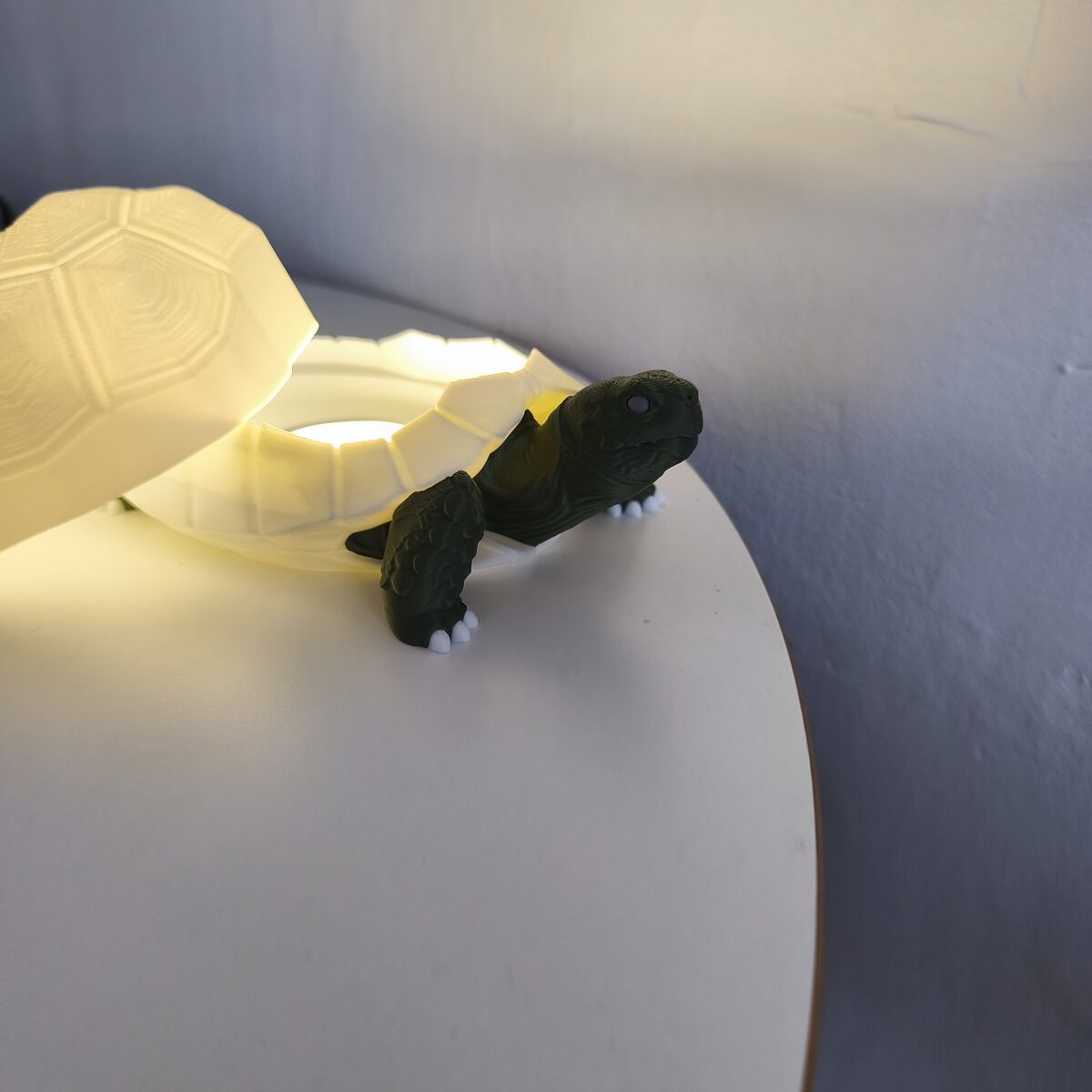 Tortoise Lamp