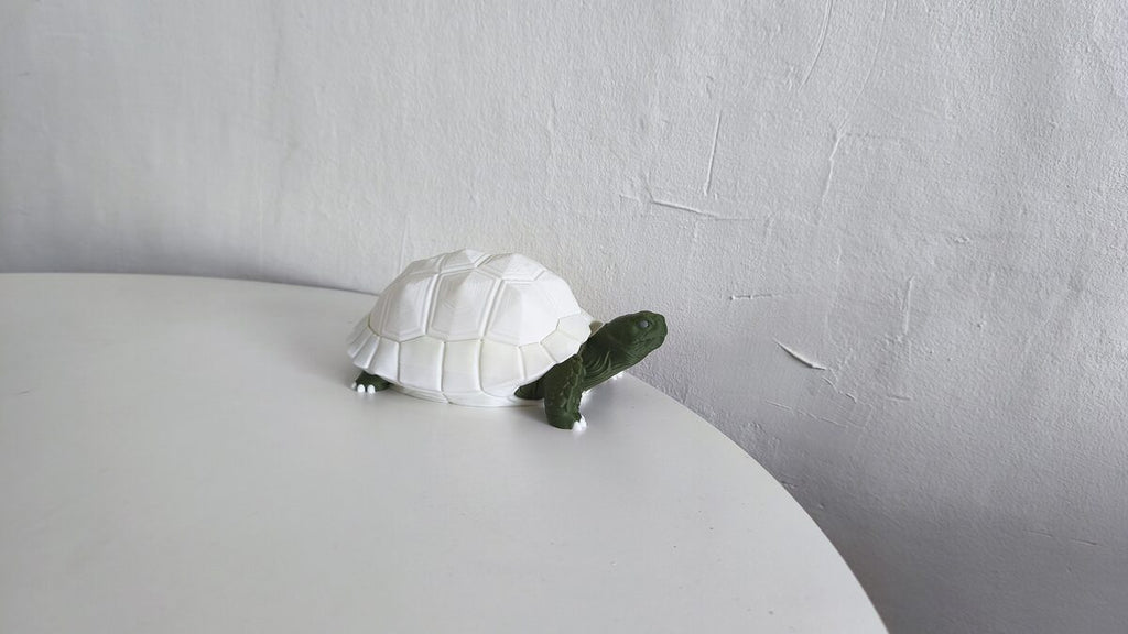 Tortoise Night Lamp, 3D Printed Glowing Shell Light