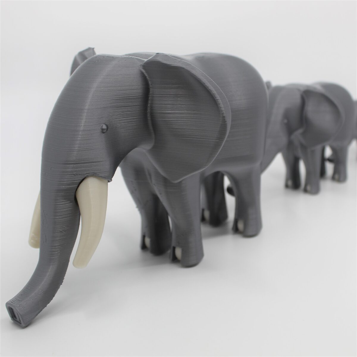 African Elephant Mama & Babies