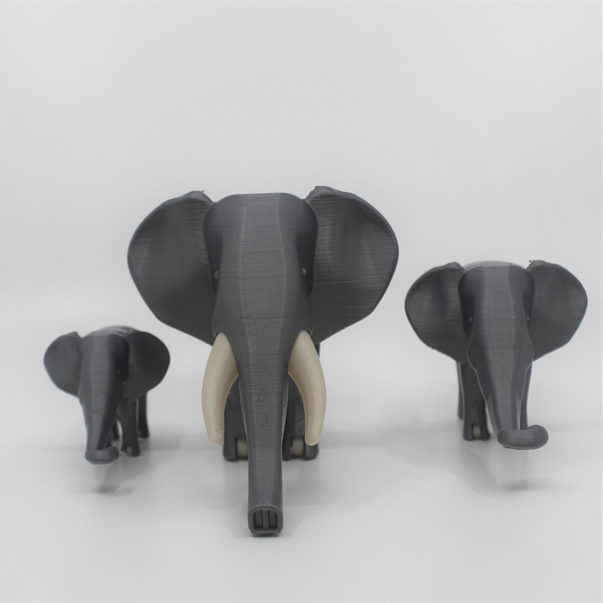 African Elephant Mama & Babies