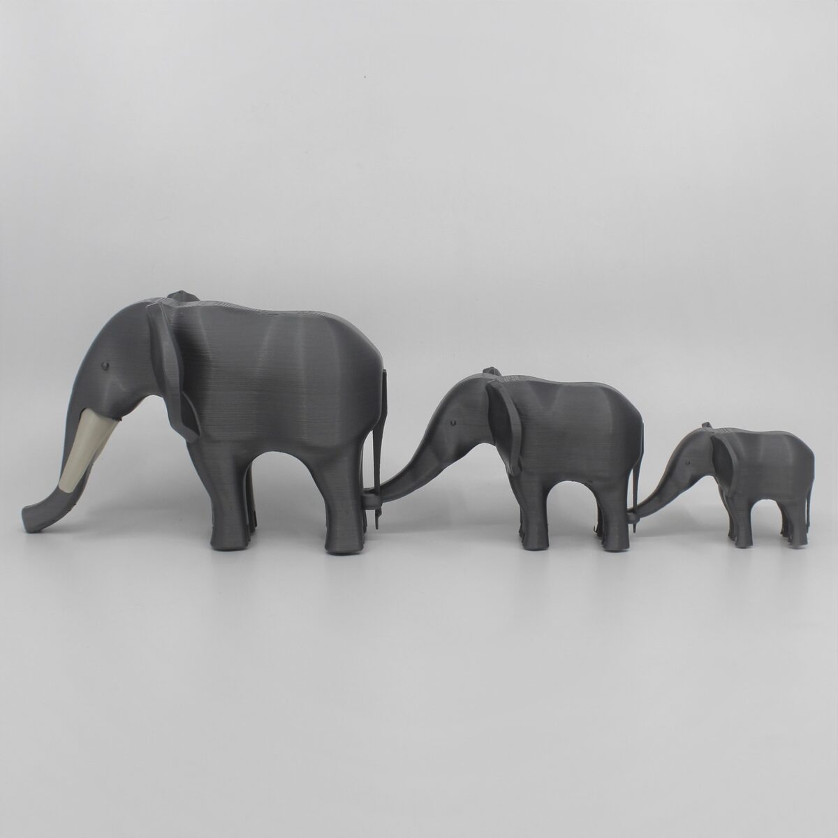 African Elephant Mama & Babies