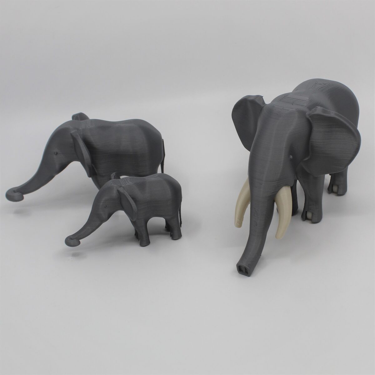 African Elephant Mama & Babies