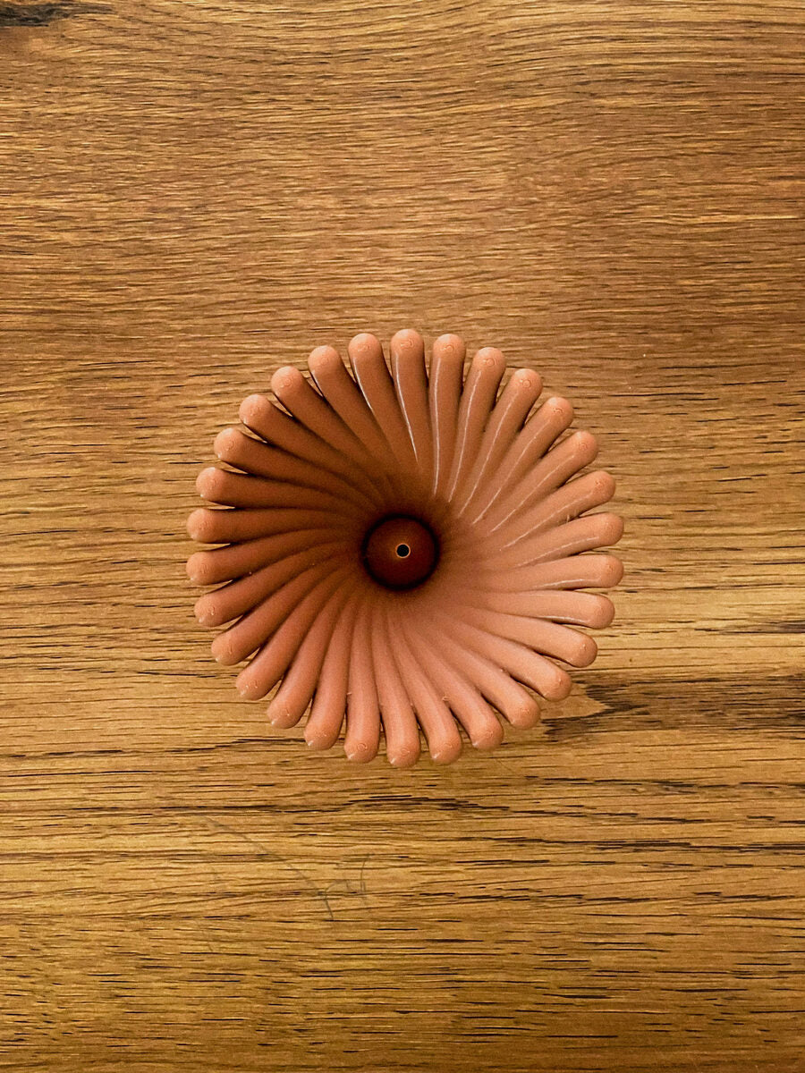 Nemo