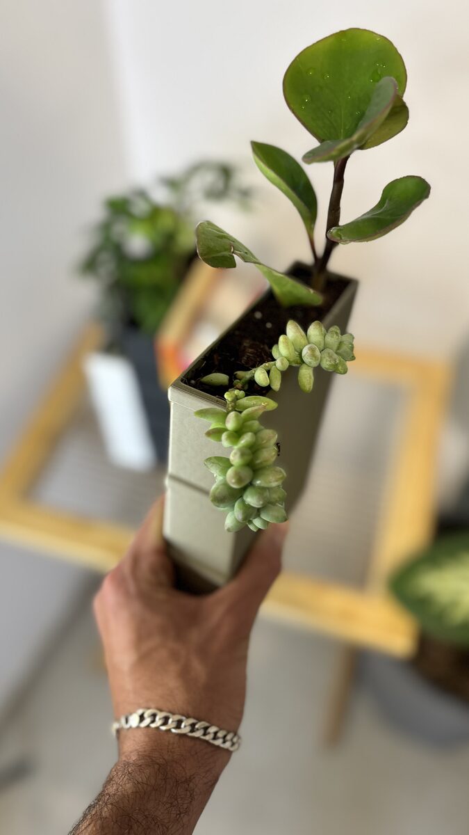 Book-shaped Bookend Planter
