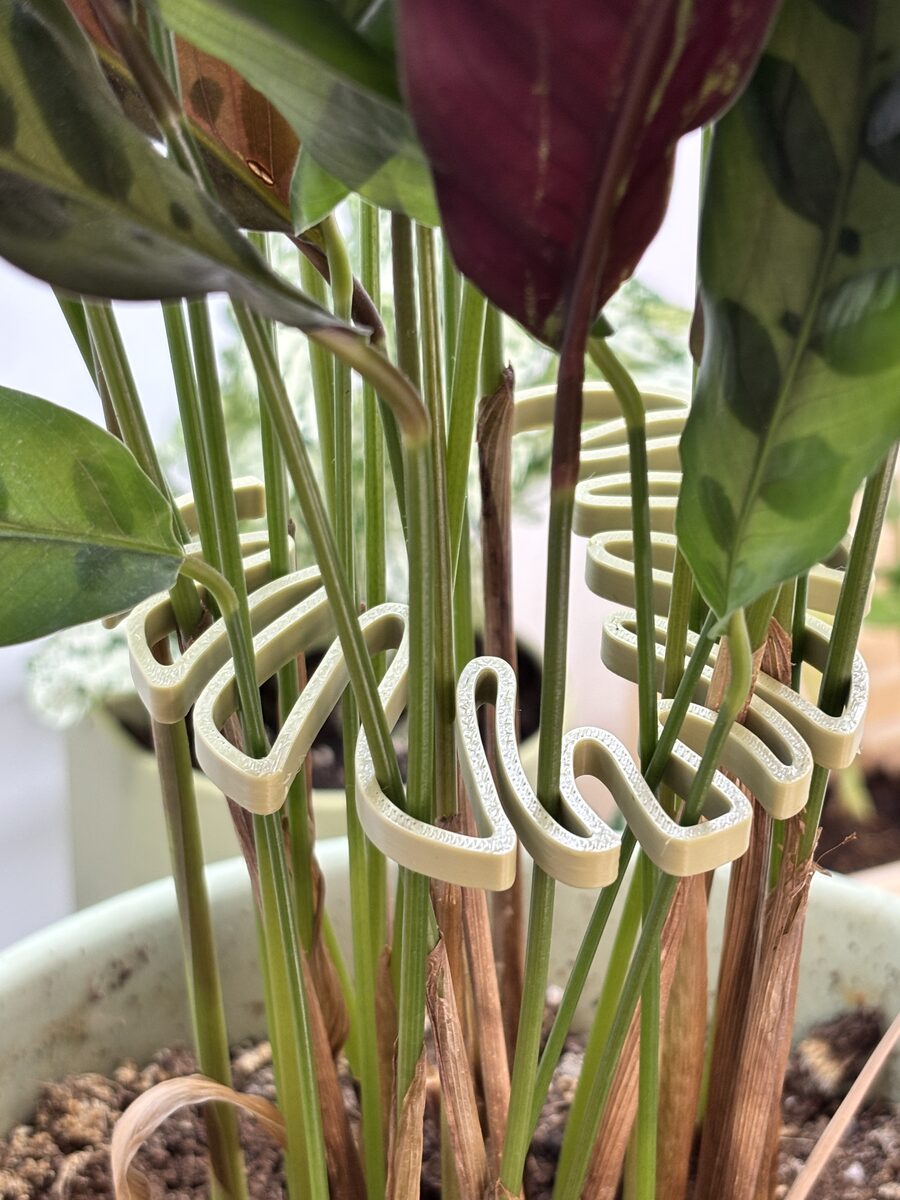 Plant Stem Support Monstera Shaped