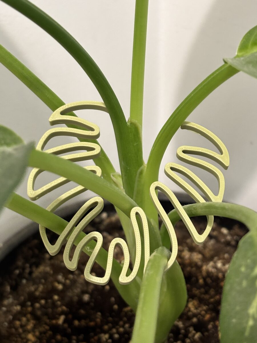 Plant Stem Support Monstera Shaped