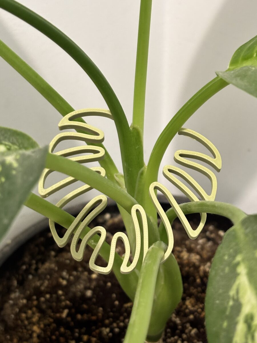 Plant Stem Support Monstera Shaped