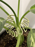 Monstera Leaf Plant Stem Support, PETG 3D Printed Plant Prop