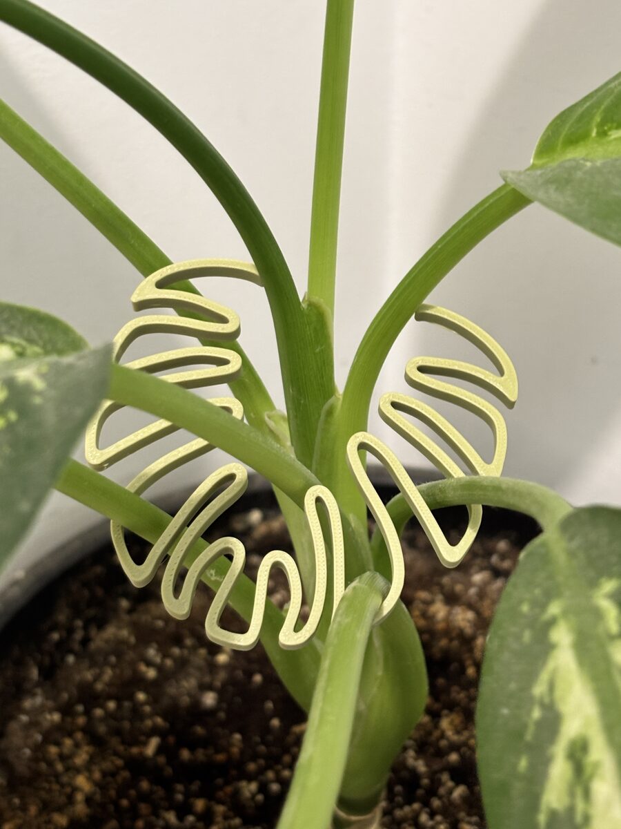 Plant Stem Support Monstera Shaped