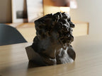 Laocoon Bust Vase, 3D Printed Classical Sculpture Decor