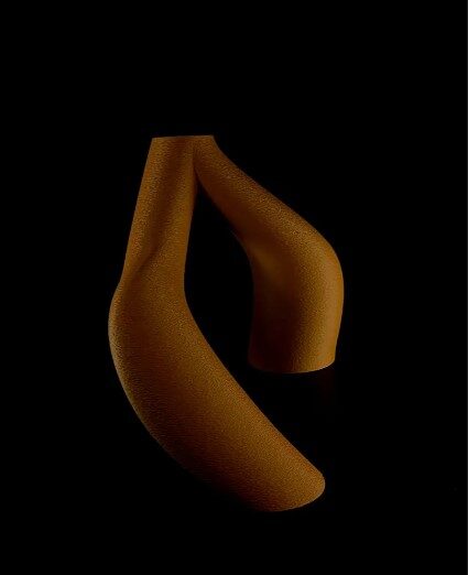 Interlocking Toroidal Vases V2