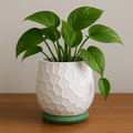 Nido Honeycomb Textured Planter, 3D Printed Plant Pot with Saucer