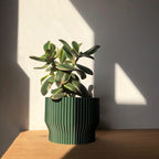 Niza Ribbed Planter Pot, 3D Printed Fluted Plant Cover