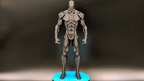 Null Sentinel Sci-Fi Statue, 3D Printed Anatomy Figure
