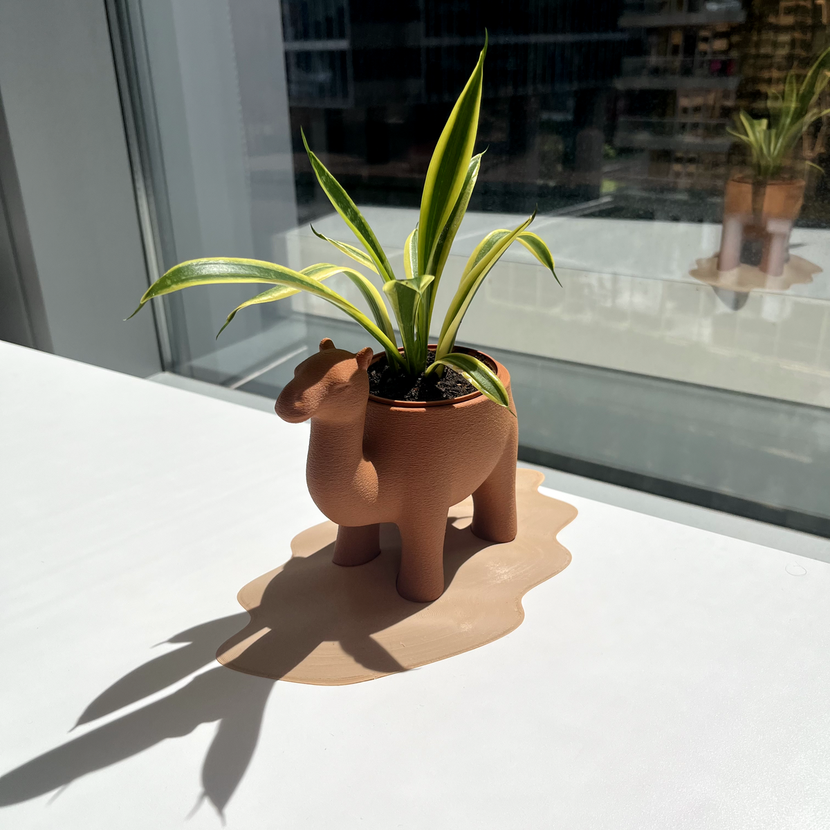 Camelpot