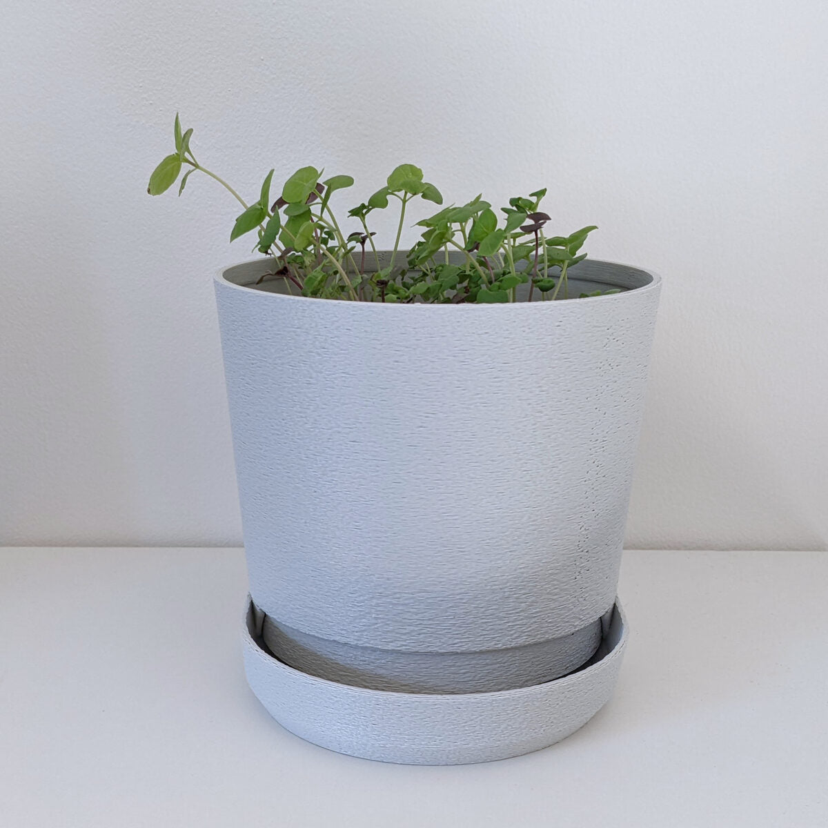 Planter 03