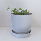Tapered Planter Pot with Saucer, 3D Printed Plant Pot