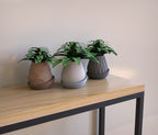 Fluted Teardrop Planter with Saucer, 3D Printed Plant Pot