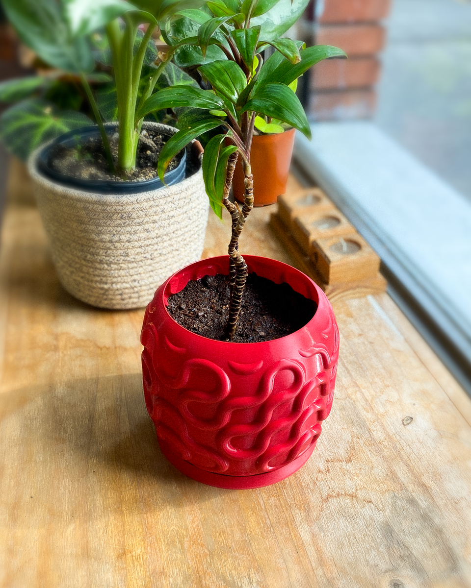 Seamless Planter Pot
