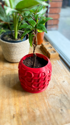 Seamless Arch Planter Pot, 3D Printed PETG Plant Pot with Saucer