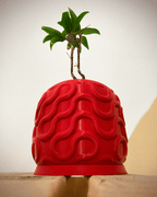 Seamless Arch Planter Pot, 3D Printed PETG Plant Pot with Saucer