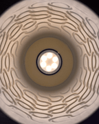 Swirl Pattern Table Lamp, 3D Printed Topographic Night Light