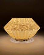 Sol Ripple Mesh Wall Lamp, 3D Printed Sunburst Sconce