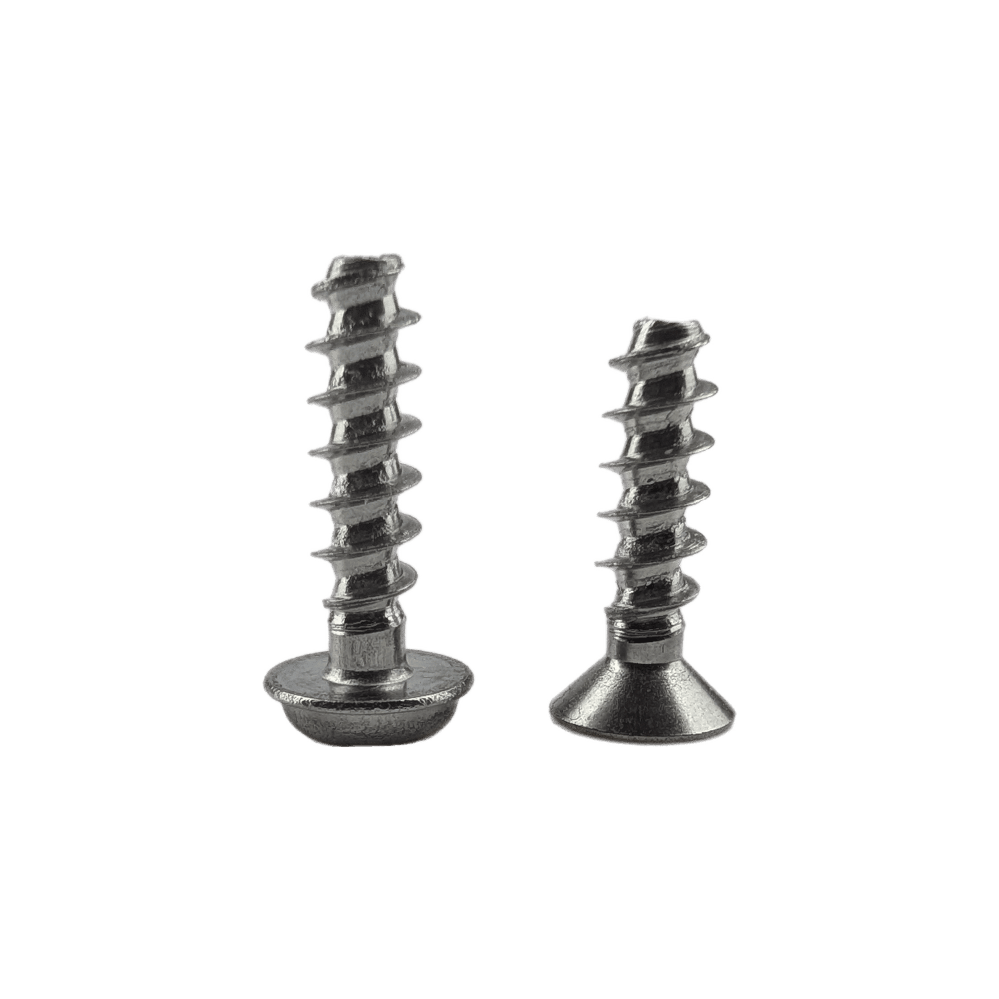 SS304 Thread Forming Screws for Plastics