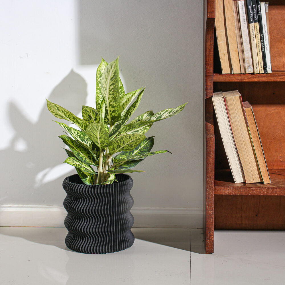 Weego Plater Pot