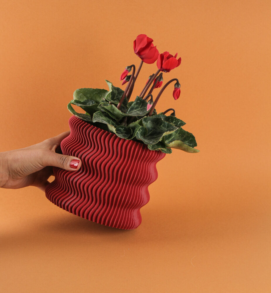 Weego Plater Pot