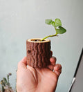 Log Planter, 3D Printed Bark Texture Succulent Pot